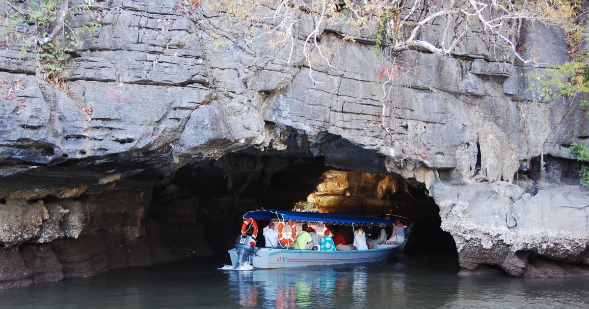 Mangrove Safari Tour